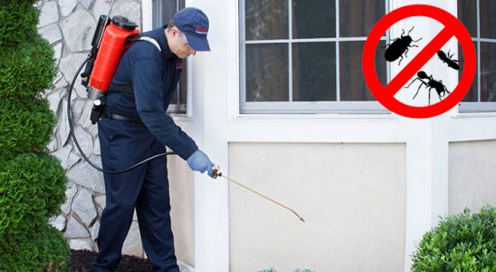 Bağlar Fare İlaçlama böcek ilaçlama ve haşere kontrolü — ilaclama-tr.com